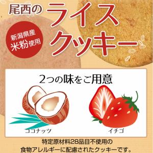 非常食 尾西のライスクッキー ココナッツ味 2...の詳細画像1