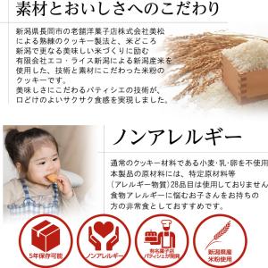 非常食 尾西のライスクッキー ココナッツ味 2...の詳細画像3