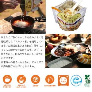 非常食 非常食セット 尾西食品 アルファ米 ご...の詳細画像1