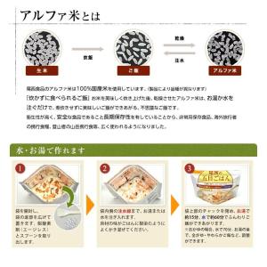 非常食 非常食セット 尾西食品 アルファ米 ご...の詳細画像2