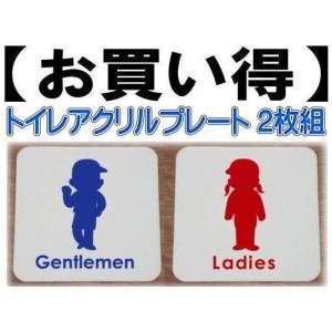 オーダーメイド　アクリルトイレDAIHUKUtype オーダーメイドペットアクリルトイレ DAIHUKUtype ※飛散ガード付き