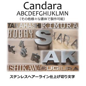 表札 戸建て表札 ステンレス切り文字4mm厚 ステンレス切り文字表札