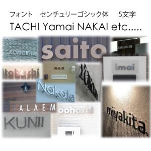 切り文字 表札 戸建て表札 ステンレス艶消し黒色4mm厚 書体