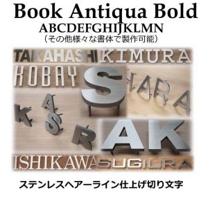 表札　戸建て表札　切り文字　ステンレス４ｍｍ厚　ステンレス切り文字表札　おしゃれな切り文字 HL切り文字　書体【Book Antiqua Bold】