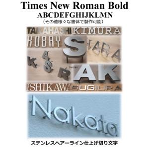 表札　戸建て表札　ステンレス製　５ｍｍ厚　ステンレス切り文字表札　書体【Times New Roman Bold】｜yamato-design