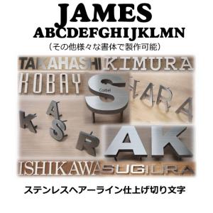 表札　戸建て表札　ステンレス製　５ｍｍ厚　ステンレス切り文字表札　書体【JAMES】｜yamato-design