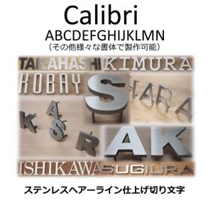 切り文字　表札　戸建て表札　ステンレス３ｍｍ厚　書体【Calibri】