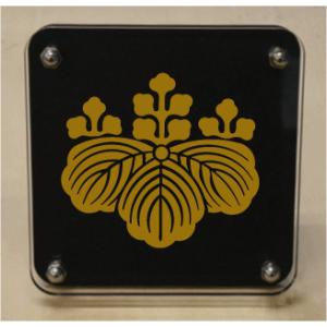 磯採集ガイドブック: 死滅回遊魚を求めて : ぽちっとほわっと - 通販