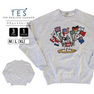 TES Tシャツ テス トレーナー TES 90s VINTAGE SOUVENIOR GRAPHIC ASH SWEAT BIG クルーネックビッグスウェット 24374318-90 0112｜yamato-jeans