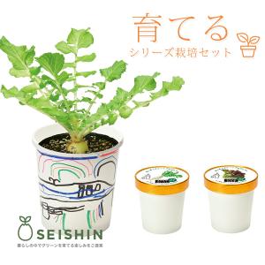 栽培キット かわいい 栽培セット 家庭菜園 菜園セット すくすく栽培セット BOX GD-947｜yamato-jeans