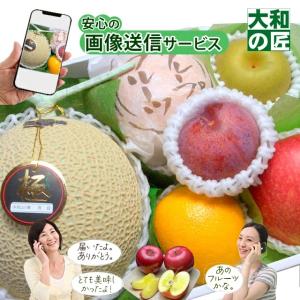 お中元 サマーギフト 暑中見舞い 厳選果物屋 フルーツギフト8800 ギフト フルーツ専門店 グルメ 果物 フルーツ 詰め合わせ 盛り合わせ プレゼント