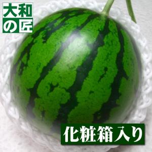 高知県産 夜須スイカ(ルナピエナ)[小玉1玉入り箱]