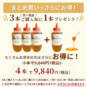 国産純粋はちみつ 1kトンガリ容器の詳細画像4