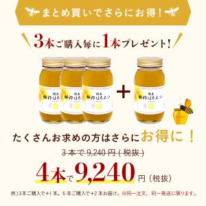 国産純粋はちみつ 1k瓶の詳細画像2