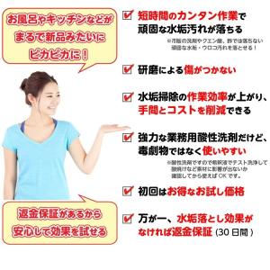 業務用水垢洗浄剤 テラクリーナーヤマトEX 水...の詳細画像4