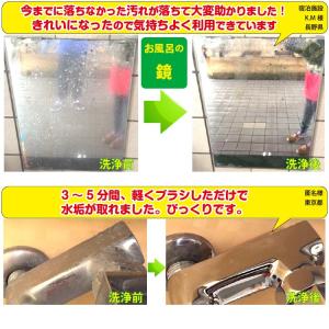 業務用水垢洗浄剤 テラクリーナーヤマトEX 水...の詳細画像5