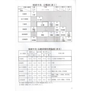 琉球通宝半朱銭の分類研究 【 古銭文献 】の詳細画像1