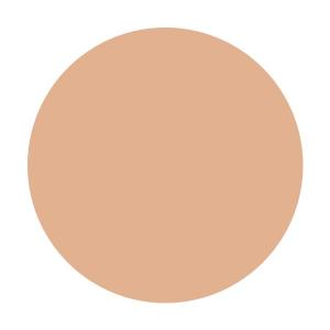 爆買【資生堂認定オンラインショップ】資生堂 エ...の詳細画像2