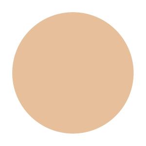 【資生堂認定オンラインショップ】インテグレート...の詳細画像2