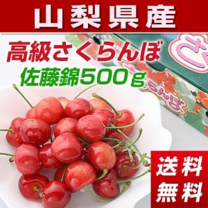 さくらんぼ「佐藤錦」５００ｇ化粧箱入