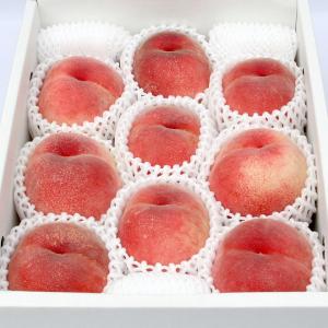 山梨の桃「あかつき」9〜10玉約3kg入 御中...の詳細画像4