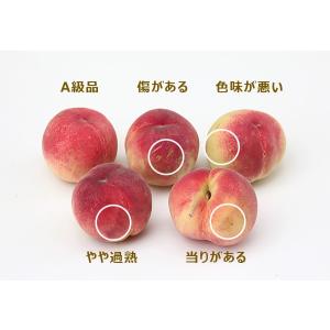 山梨の桃 訳あり品 家庭用 「美郷・あかつき・...の詳細画像1