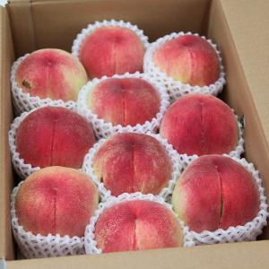 山梨の桃 訳あり品 家庭用 「美郷・あかつき・...の詳細画像2