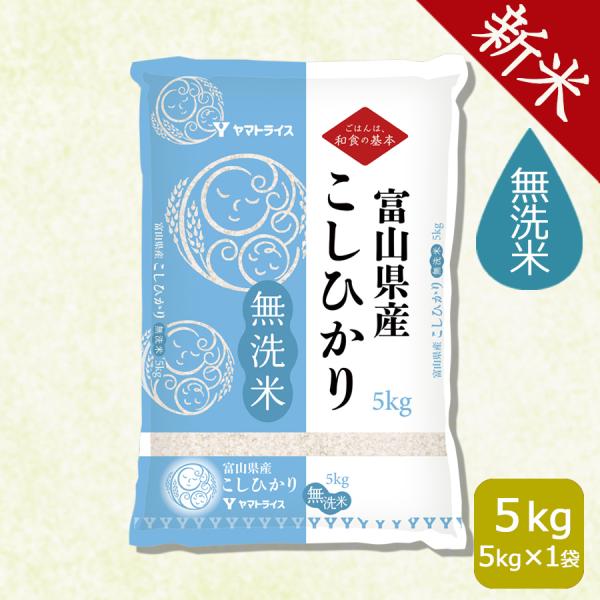 米 お米 コシヒカリ 無洗米 5kg 富山県産 令和5年産　