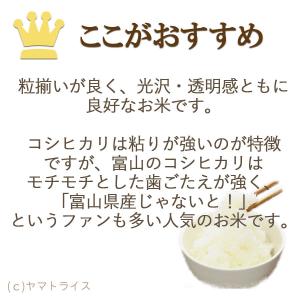 富山県産 コシヒカリ 無洗米 10kg お米 ...の詳細画像5