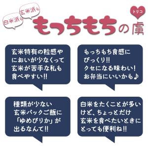 【大容量】パックご飯 やわらかい玄米 北海道産...の詳細画像3