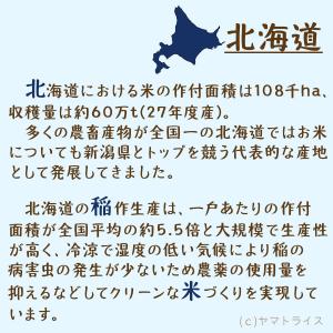 米 お米 ゆめぴりか 無洗米 5kg 小容量 ...の詳細画像4