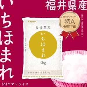 米 お米 10kg いちほまれ 福井県産 5k...の詳細画像1