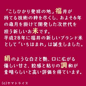 米 お米 10kg いちほまれ 福井県産 5k...の詳細画像2