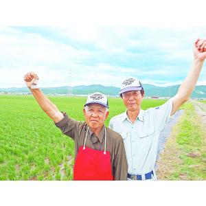 米 お米 10kg いちほまれ 福井県産 5k...の詳細画像4