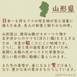 【1000円OFFクーポン&店内全品P3倍】無...の詳細画像4