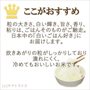 【1000円OFFクーポン&店内全品P3倍】無...の詳細画像5