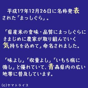 無洗米 米 お米 5kg まっしぐら 青森県産...の詳細画像2