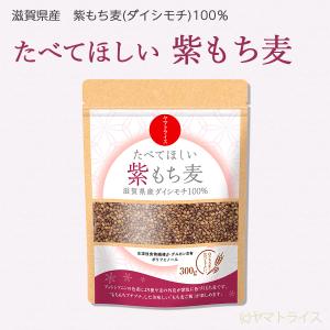 紫もち麦 国産 ダイシモチ 3kg (300g...の詳細画像1