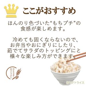 紫もち麦 国産 ダイシモチ 3kg (300g...の詳細画像4