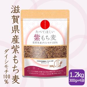 紫もち麦 国産 ダイシモチ 1.2kg (300g×4袋) 滋賀県産 もち麦