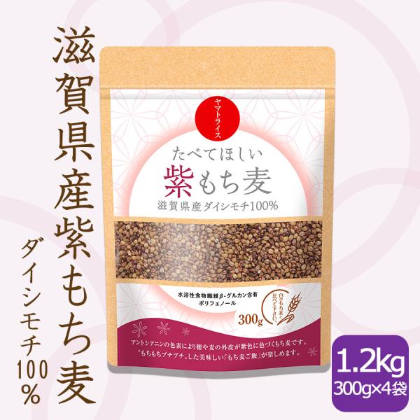 紫もち麦 国産 ダイシモチ 1.2kg (300g×4袋) 滋賀県産 もち麦