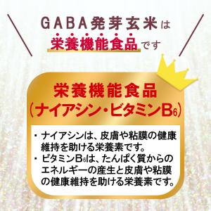 【栄養機能食品】発芽玄米 国産 GABA 玄米...の詳細画像3