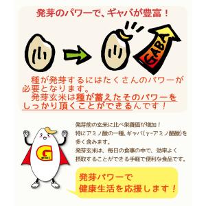 【栄養機能食品】発芽玄米 国産 GABA 玄米...の詳細画像4