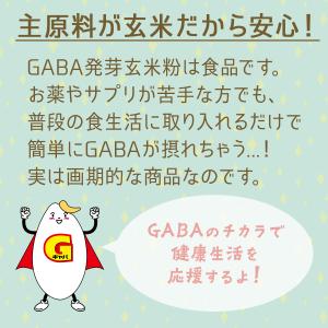【機能性表示食品】 GABA 発芽玄米粉 90...の詳細画像4