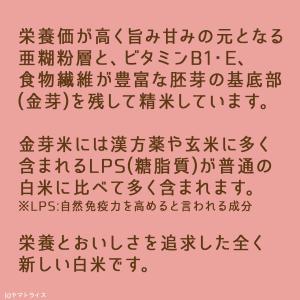 金芽米 無洗米 タニタ食堂 9kg 10kg相...の詳細画像2