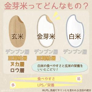 金芽米 無洗米 タニタ食堂 9kg 10kg相...の詳細画像3