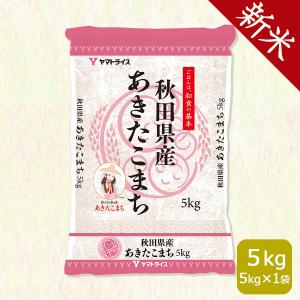 米 お米 5kg あきたこまち 秋田県産 白米 令和5年産｜yamatorice