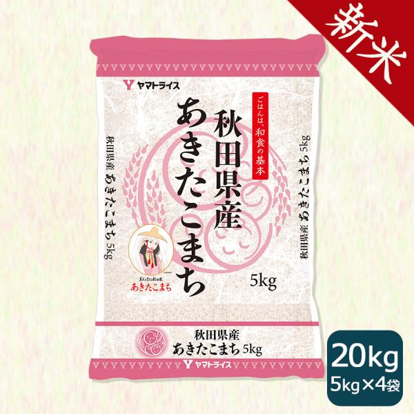 米 お米 20kg あきたこまち 秋田県産 白米 5kg×4 令和5年産