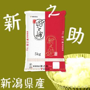 新之助 10kg 5kg×2 お米 米 白米 ...の詳細画像1