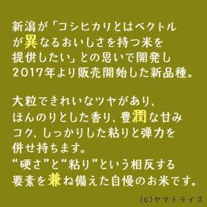 新之助 10kg 5kg×2 お米 米 白米 ...の詳細画像2